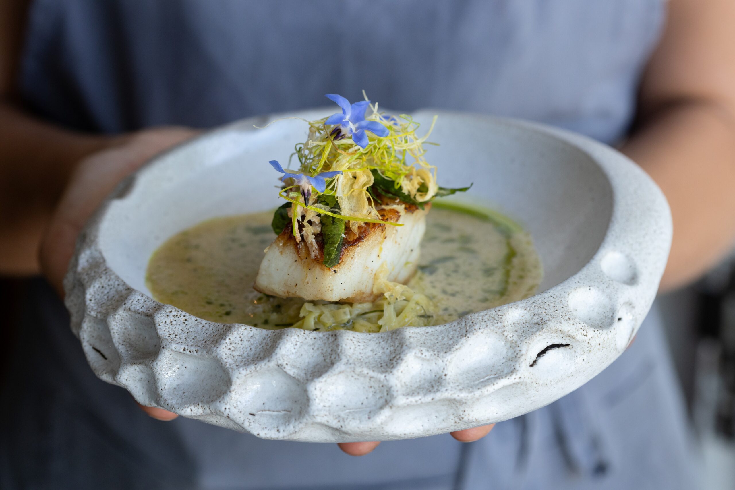 Salsify at the Roundhouse in Cape Town